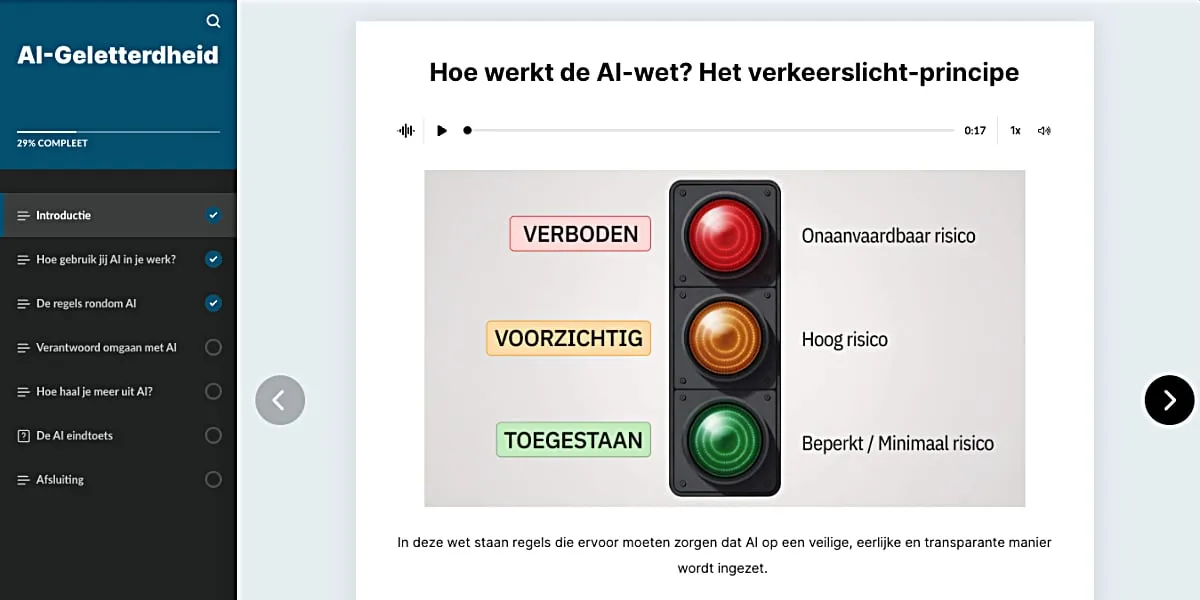 EU AI Act verkeerslicht risiconiveaus